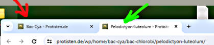 Tabs2